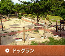 ドッグラン